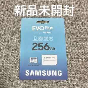EVO Plus MB-MC256SA-IT (256GB)