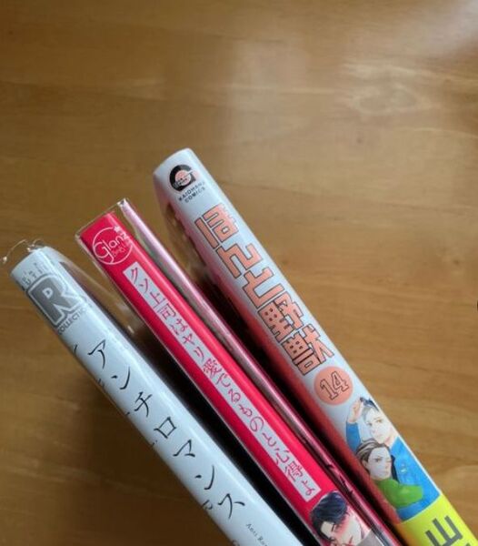 ほんと野獣14 山本小鉄子 アンチロマンス 日高ショーコ 海野えび 小冊子付特装版