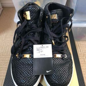 28.5cm Air Jordan 1 pinnacle