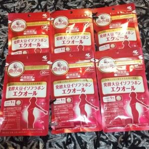 小林製薬 発酵大豆イソフラボン エクオール 6袋