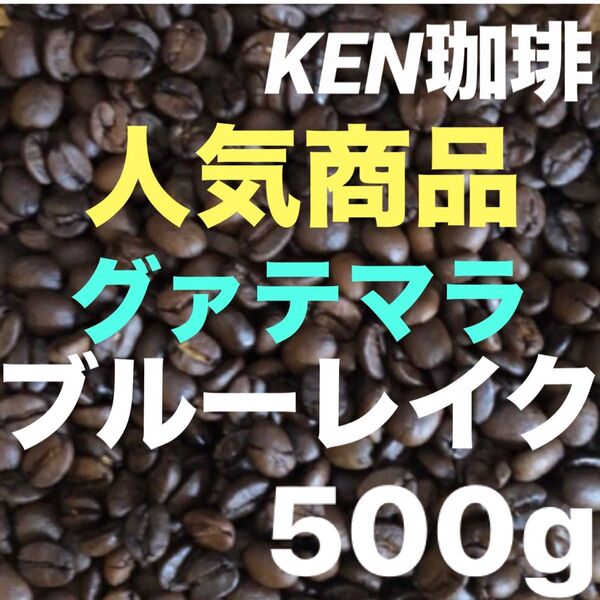 自家焙煎コーヒー豆 人気商品 ブルーレイク グァテマラ産 500g150円引き 注文後焙煎 KEN珈琲