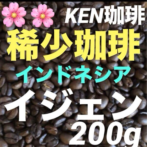 稀少珈琲 数量限定 イジェン(ナチュラル) インドネシア産 200g 注文後焙煎