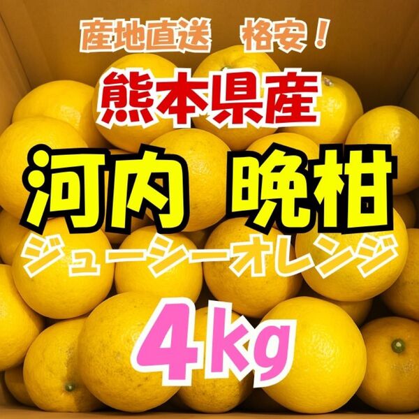 熊本県産 河内晩柑(ジューシーオレンジ)4kg 家庭用