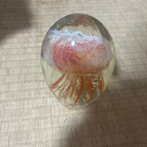ガラス製品 クラゲ