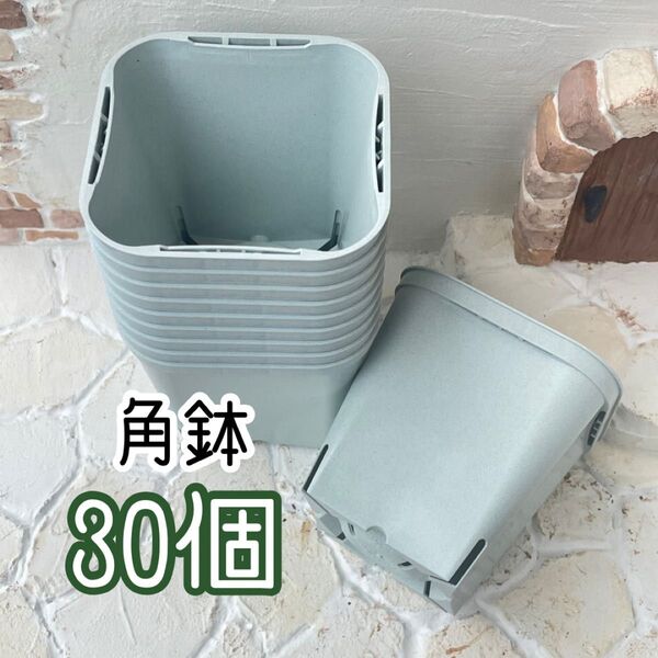 おすすめラベルがさせる角鉢ポット オリジナル