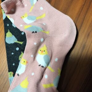 レディース 靴下