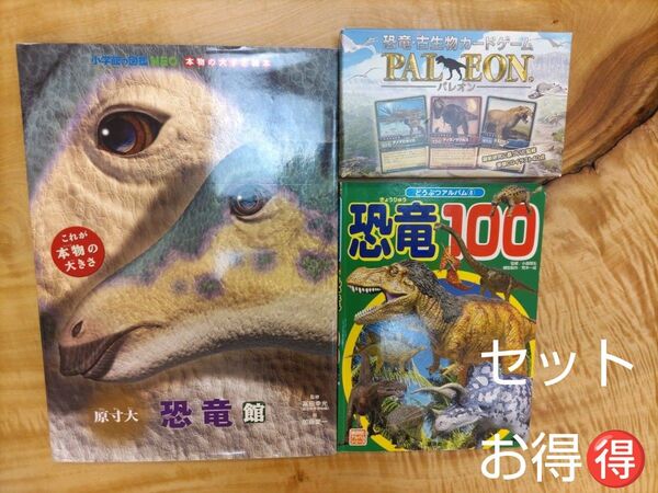 原寸大恐竜館、動物アルバム8恐竜100、恐竜・ 古 生物 カードゲーム パレオン