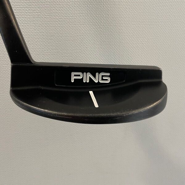 PING パター