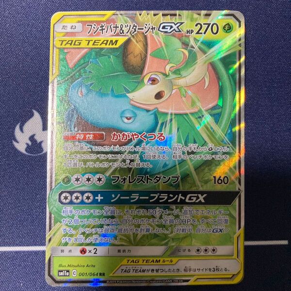フシギバナ&ツタージャGX RR ポケカ まとめ買いでさらにお安く♪一点追加につき150円引きします♪投稿を見てさらにお得に♪