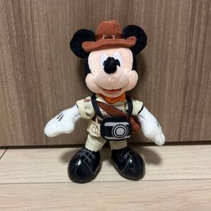 東京ディズニーリゾートミッキー ぬいぐるみバッジカメラマンキャスト カメキャス