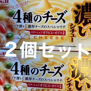 濃いシチュー2個