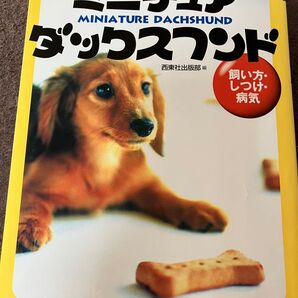 【美品】ミニチュアダックスフンド : 飼い方・しつけ・病気