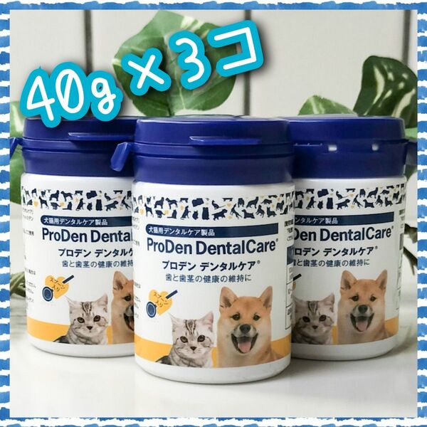 プロデン デンタルケア 40g ×3