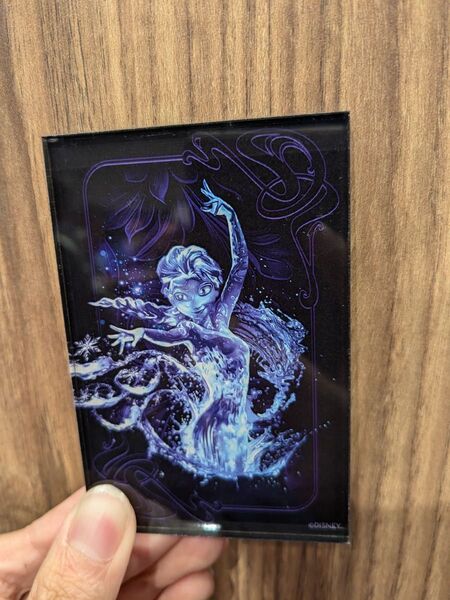 【新品】D23限定ファンタジースプリングス ポストカード(アナと雪の女王)