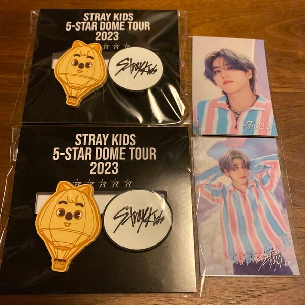 Stray Kids スキズ 5-STAR Dome Tour 2023 オンラインくじ ハン クォッカ ラバークリップ