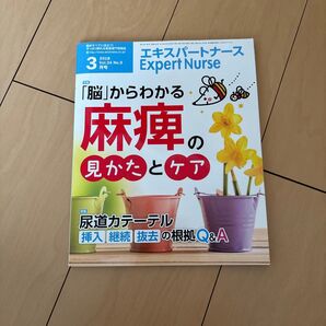 エキスパートナース