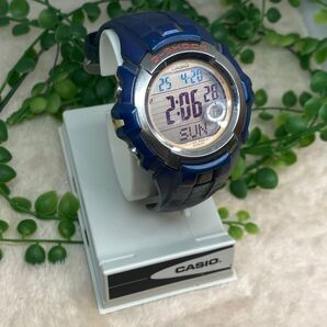 CASIO カシオ GL-160TC