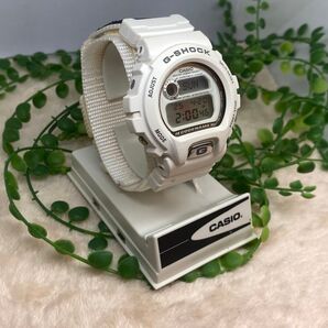CASIO カシオ DW-6697 G-SHOCK ラバコレ