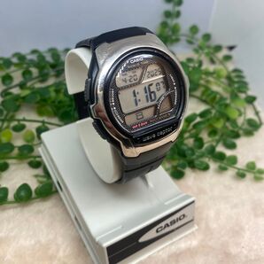 CASIO カシオ WV-58J 電波