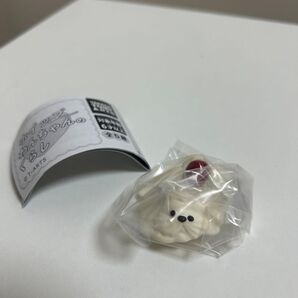 ホイップわんちゃんのくらし とけちゃった