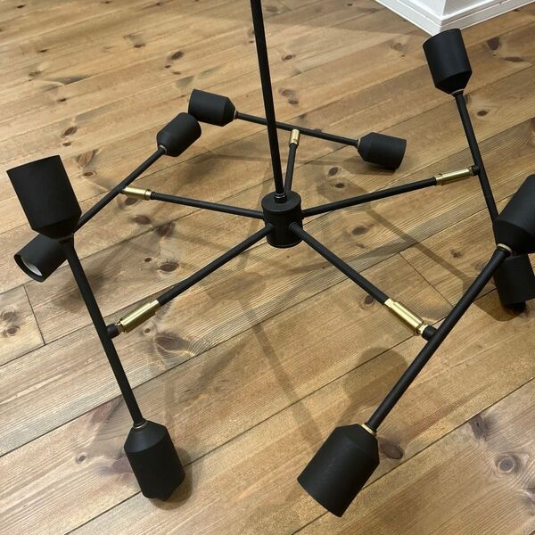 インターフォルム ペンダントライト フリントロップ 10灯 天井照明 可動型 ブラック E26 白熱球付属 LT-3051