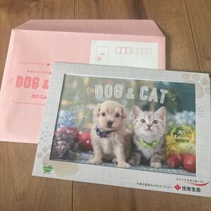 卓上カレンダー 犬、猫 2025