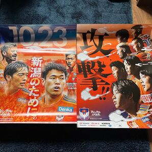アルビレックス新潟 ポスター2枚セット