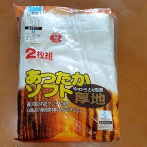 あったかソフト グンゼ GUNZE 長ズボン下 綿100 インナー 2枚組 サイズM