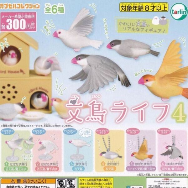 文鳥ライフ4 40個 まとめ売り カプセルトイ フィギュア小物 シナモン文鳥 桜文鳥 白文鳥