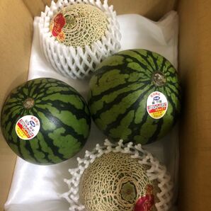 321.数量限定薄皮小玉西瓜2玉+小玉赤肉メロン2玉