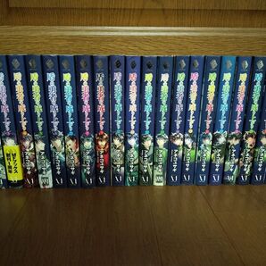 盾の勇者の成り上がり 小説 1〜22巻セット