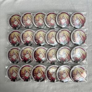 VSAMBIVALENZ XlamV アグリ 缶バッジ