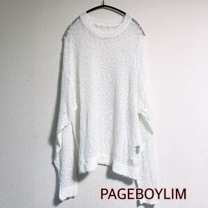 PAGEBOYLIM ページボーイリム トップス 長袖トップス シアートップス レイヤード