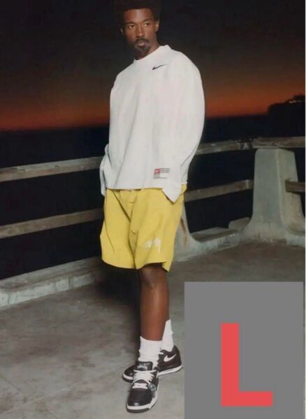 Nike Stussy Short Pants ナイキ ショートパンツ 短パン