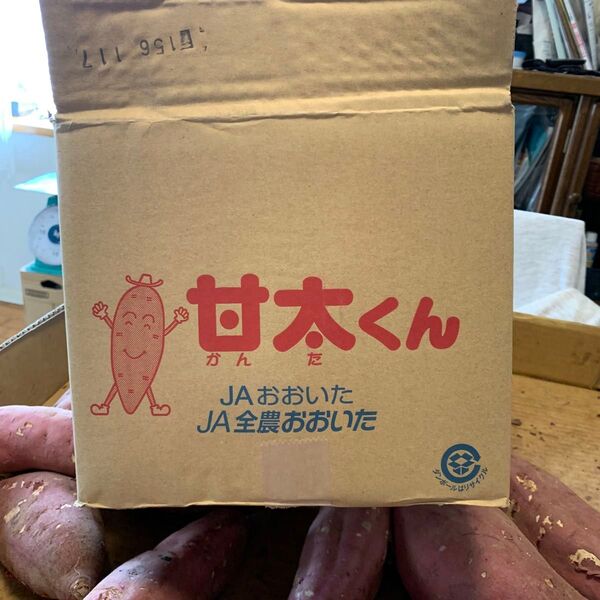 甘太くんC大30