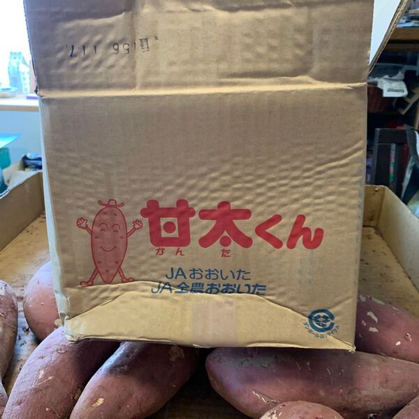 甘太くんC大38