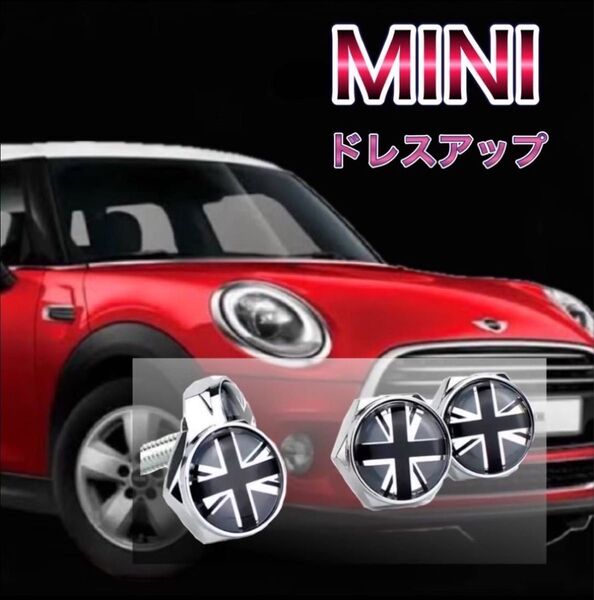 ナンバープレート ボルト カバー MINI グレーユニオン ドレスアップ パーツ 新品未使用