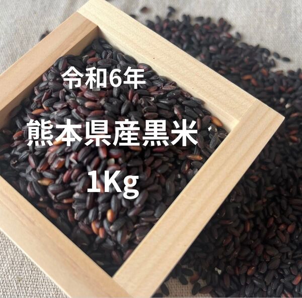 【黒米1Kg】 残留農薬ゼロ 熊本県菊池産 農家さん自慢の黒米です!