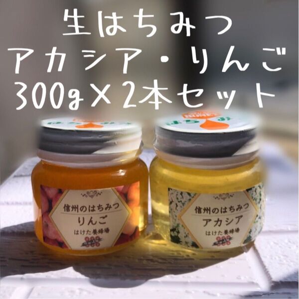 アカシア りんご 生はちみつ 300g 2本セット 国産 蜂蜜 【生産者直送】