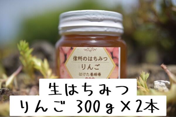 りんご 生はちみつ 300g×2本 国産 蜂蜜 【生産者直送】