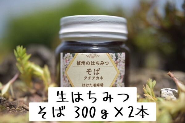 そば 生はちみつ 300g×2本 国産 蜂蜜 【生産者直送】
