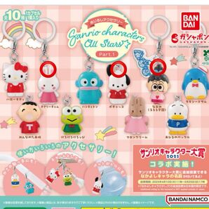 めじるしアクセサリー ガチャ サンリオ ポチャッコ メアリーチャム なおみ