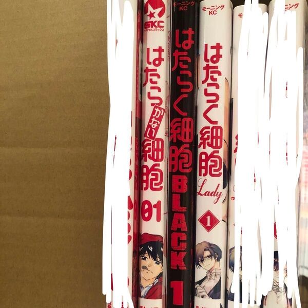 はたらく細胞シリーズ 3冊セット コミック 漫画 はたらく細胞 Lady 1