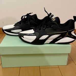 NIKE、JORDAN HEIR PF、27センチ