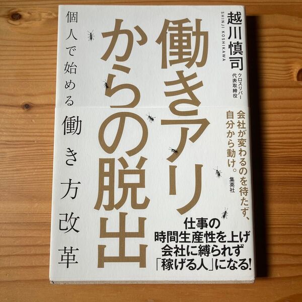 働きアリからの脱出 個人で始める働き方改革 越川慎司/著