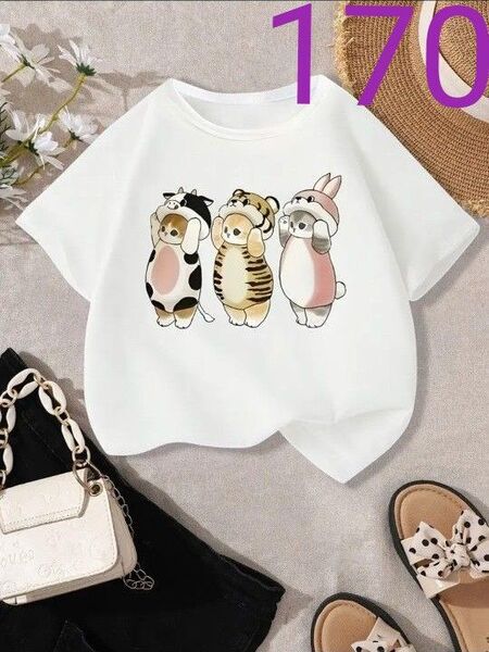 猫ちゃん 半袖 Tシャツ 着ぐるみ柄 170サイズ