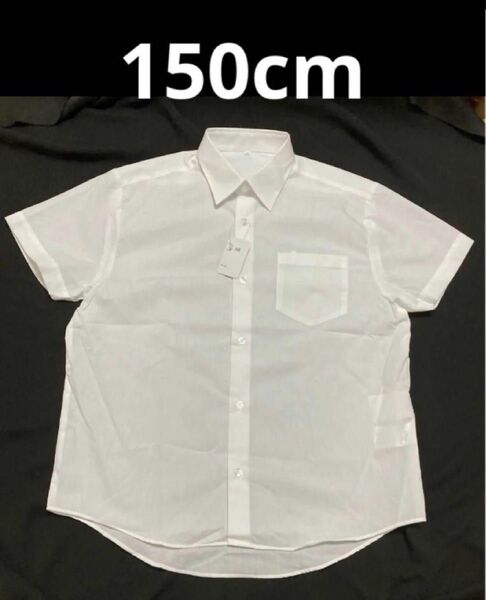 新品 未使用150cm 半袖シャツ スクールブラウス 男児