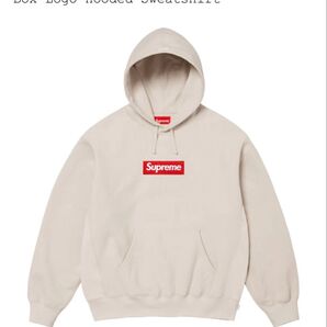 Supreme Box Logo Hooded Sweatshirt