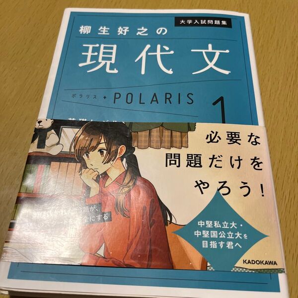 大学入試問題集柳生好之の現代文ポラリス 1 (大学入試問題集) 柳生好之/著