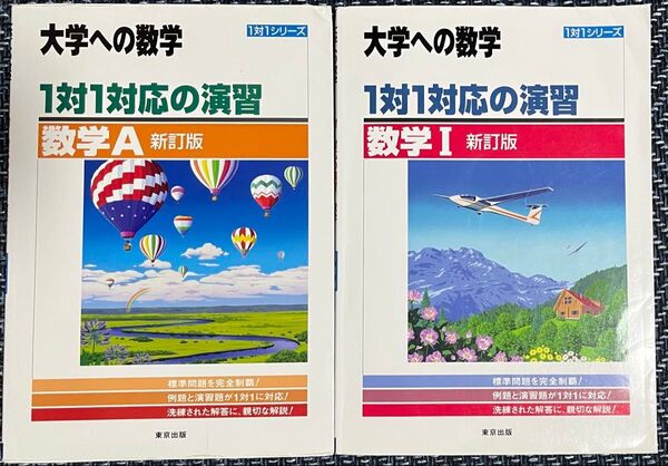 大学への数学 1対1対応の演習 数学A・I 新訂版 2冊セット